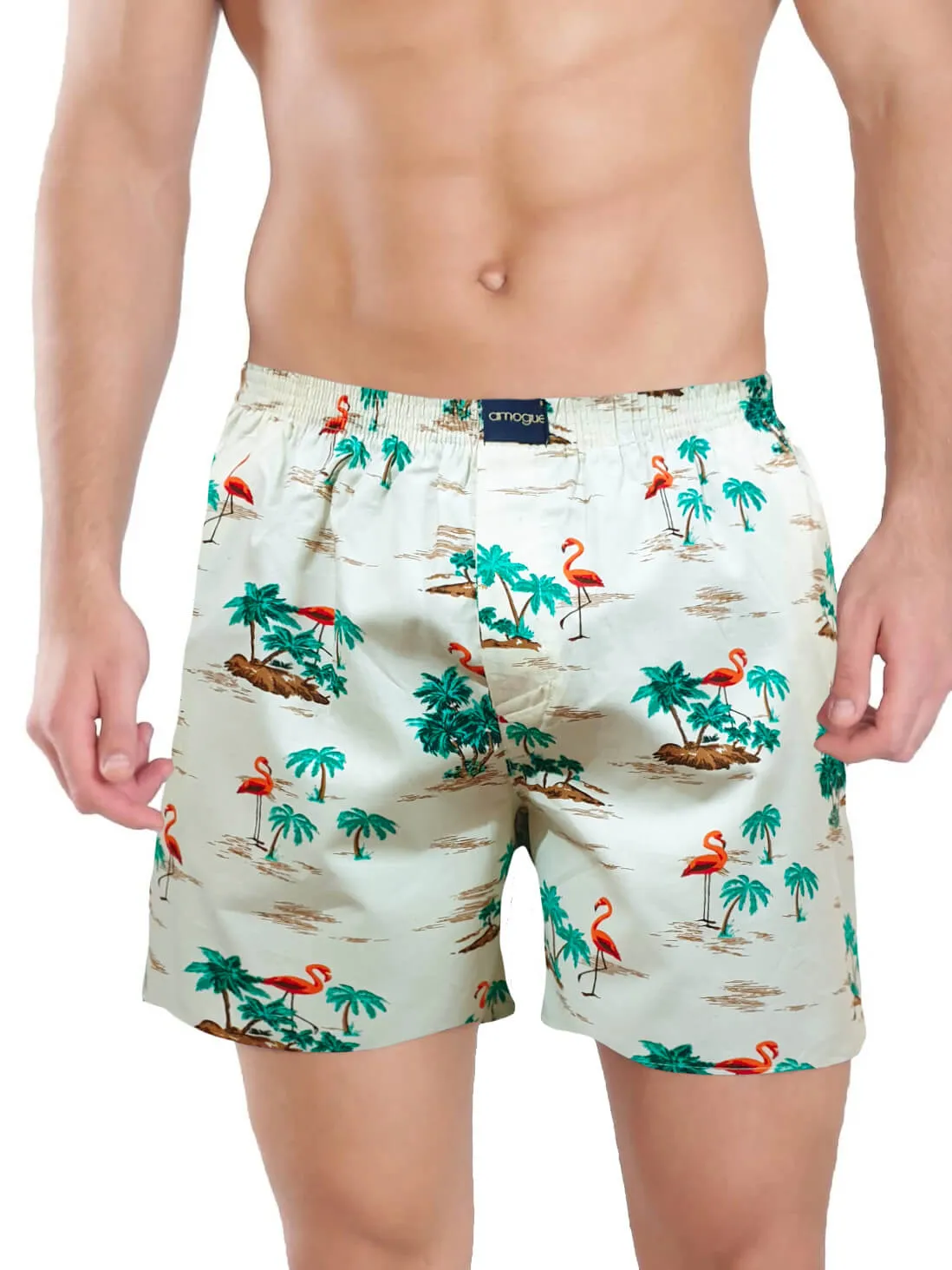 Cream Beach Black Cactus 2 Men Boxers Combo